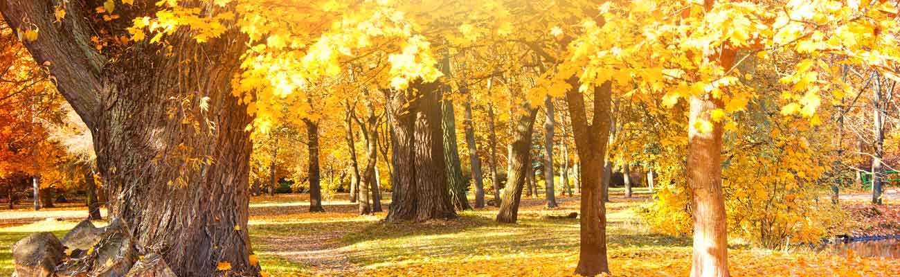 ADMINISTRADORES DE FINCAS EN BARCELONA